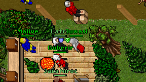 Juwasi on screen