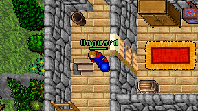 Boguard on screen