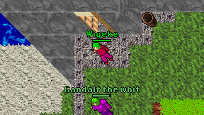 Wigeke on screen