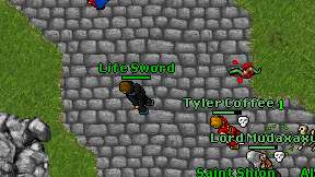Life Sword on screen