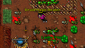 Druid Magic Healer on screen