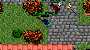 Quiet Druid on screen