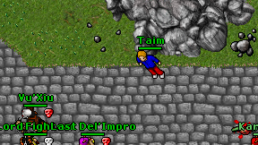 Taim on screen
