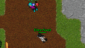 Elee Svel on screen