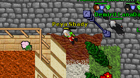 Peya Shady on screen