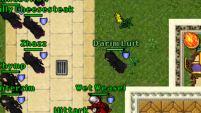 Darim Luit on screen