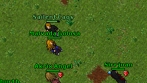 Sailent Caos on screen