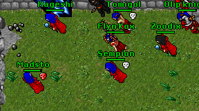 Flyn Kox on screen