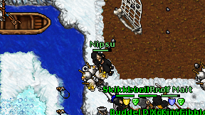 Nipsu on screen