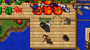 Evazo on screen