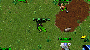 Kollunda on screen