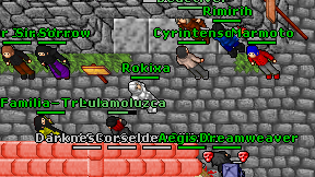 Rokixa on screen