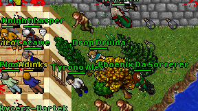 Drop Druida on screen