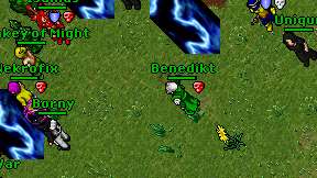 Benedikt on screen
