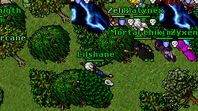 Lilshane on screen