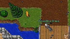 Druidka Irma on screen