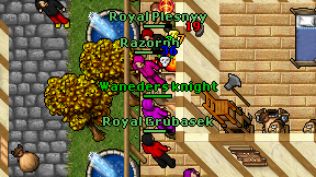 Royal Grubasek on screen