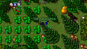 Oko Validus on screen