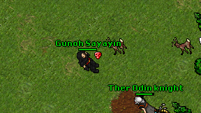 Gunoh Sayayin on screen