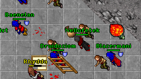 Nellofetek on screen