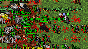 Shagarot The Knight on screen