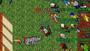 Hojie on screen