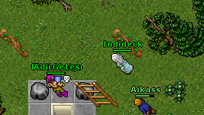 Indideck on screen