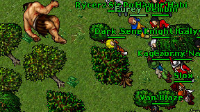 Tiraen on screen