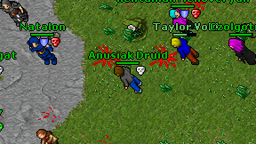 Anusiak Druid on screen
