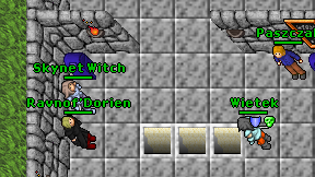 Skynet Witch on screen