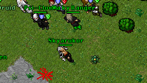 Skyarukor on screen