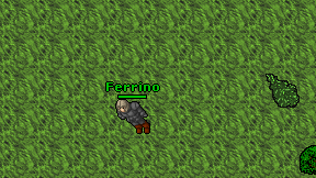 Ferrino on screen