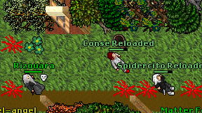 Conse Reloaded on screen
