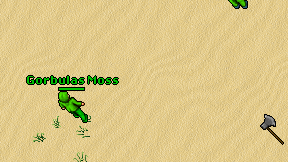 Gorbulas Moss on screen