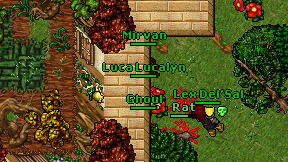 Mirvan on screen