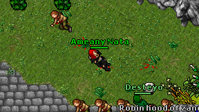 Ameany Nata on screen