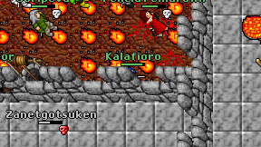 Kalafioro on screen