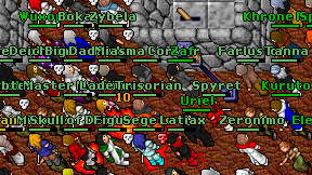 Spyret on screen