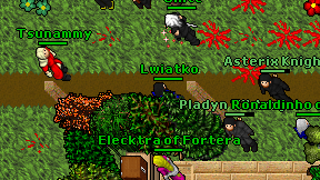 Lwiatko on screen