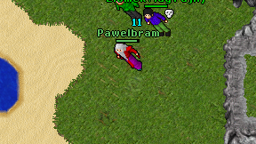 Pawelbram on screen