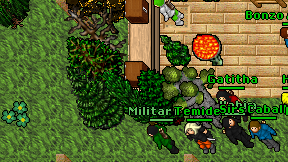 Militar Fox on screen
