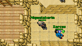 Miguelakerin on screen