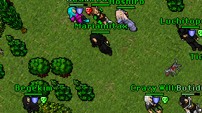 Marianiitax on screen
