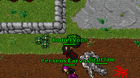 Kodiel Voon on screen