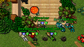 Elvetor on screen