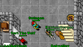 Swingan on screen