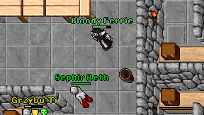 Bloody Ferrie on screen