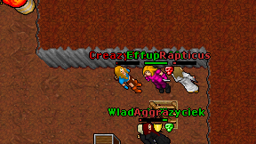 Creazy Werka on screen