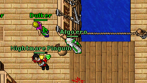 Algo ero on screen