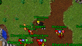 Ducke Tagger on screen